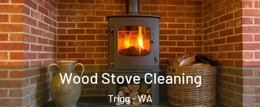 Wood Stove Cleaning Trigg - WA