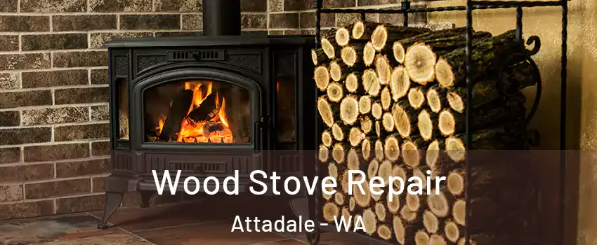 Wood Stove Repair Attadale - WA