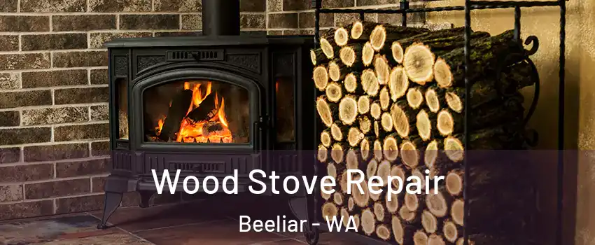 Wood Stove Repair Beeliar - WA