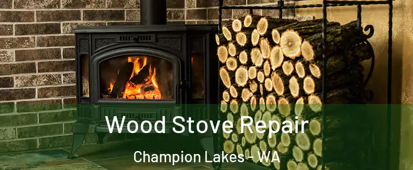 Wood Stove Repair Champion Lakes - WA