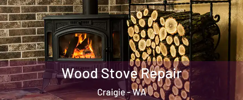 Wood Stove Repair Craigie - WA