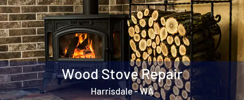 Wood Stove Repair Harrisdale - WA